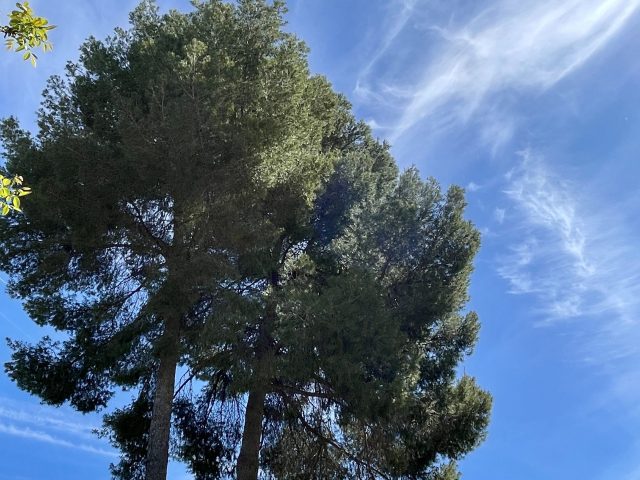 20240418_093708547_iOS